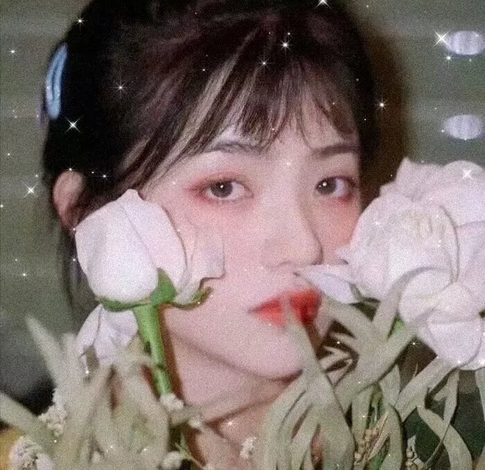 吴京明星照片